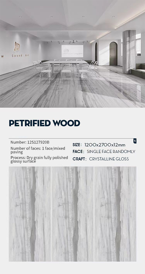 Petrified Wood MT1309SP Sintered Stone Slabs Polished Petrified Wood MT1309SP Sintered Stone Slabs Polished