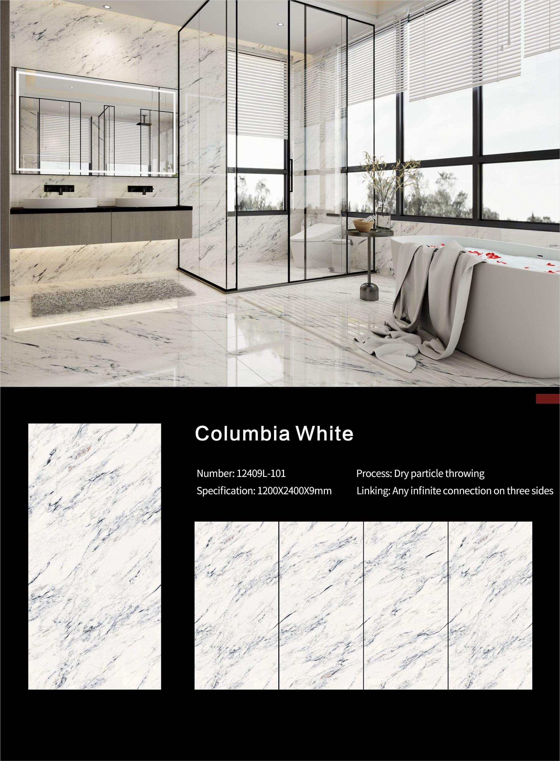 Columbia White Sintered Stone Slabs Polished (2)